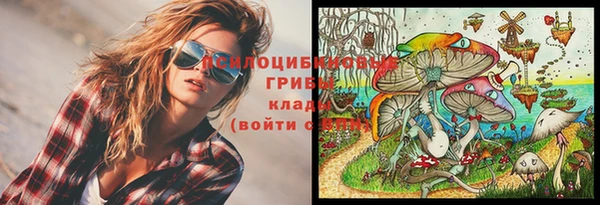 метадон Аркадак